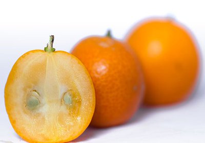 Kumquat