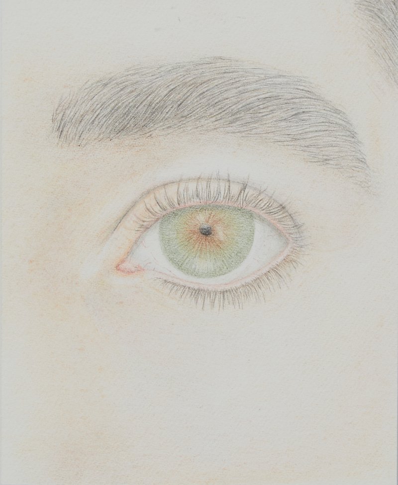 eye