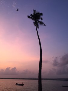 puran-khanna-5k7_5vIxyU4-unsplash.jpg